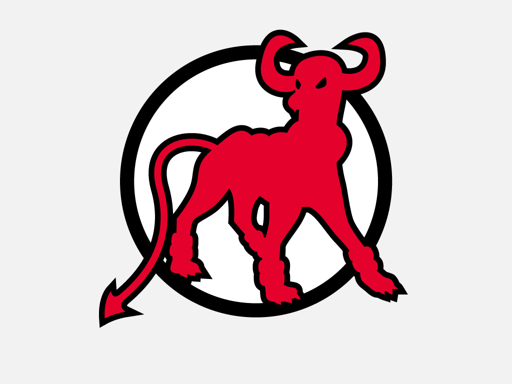 New Jersey Devil Dogs logo fabric transfer
